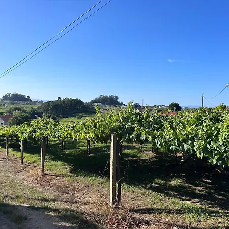 아파트 A Xesteira Getaway