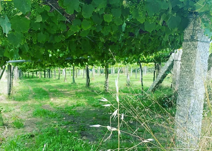 아파트 A Xesteira Getaway 캄바도스