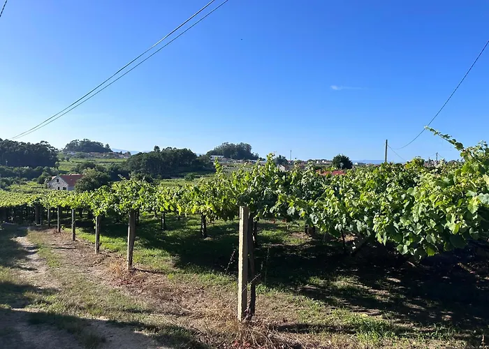 Apartmán A Xesteira Getaway